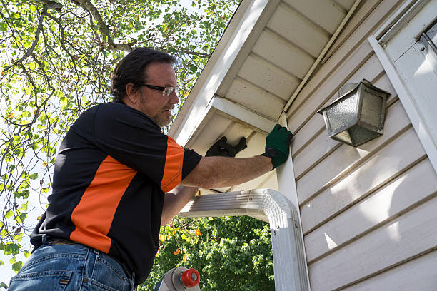 Best Steel Siding Installation  in Riverview, SC